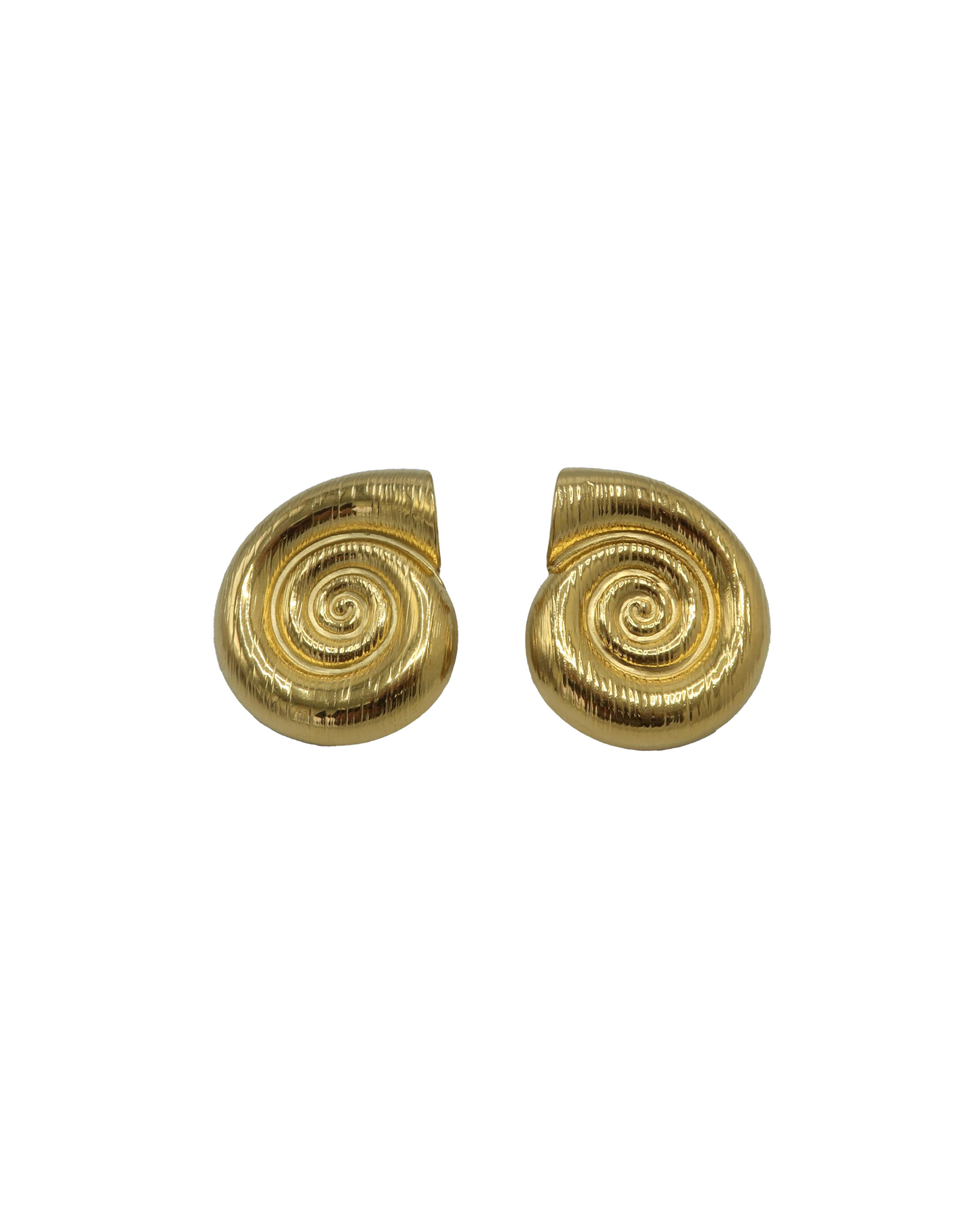 seashell earring
